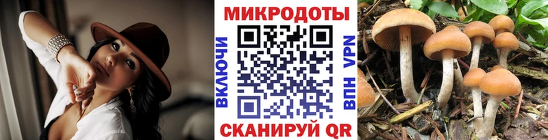 Псилоцибиновые грибы Psilocybine cubensis  Феодосия 