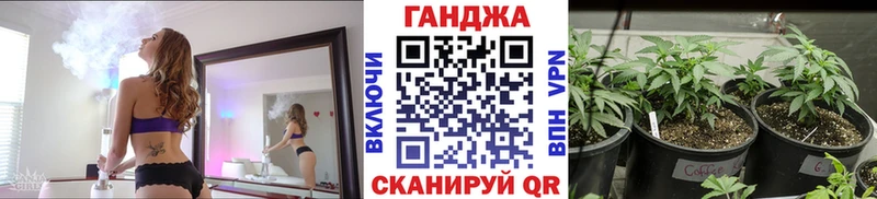 Конопля гибрид  Феодосия 